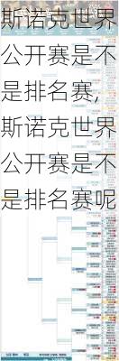 斯诺克世界公开赛是不是排名赛,斯诺克世界公开赛是不是排名赛呢