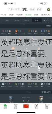 英超联赛重要还是足总杯重要,英超联赛重要还是足总杯重要呢
