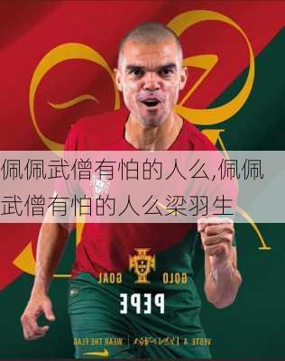 佩佩武僧有怕的人么,佩佩武僧有怕的人么梁羽生